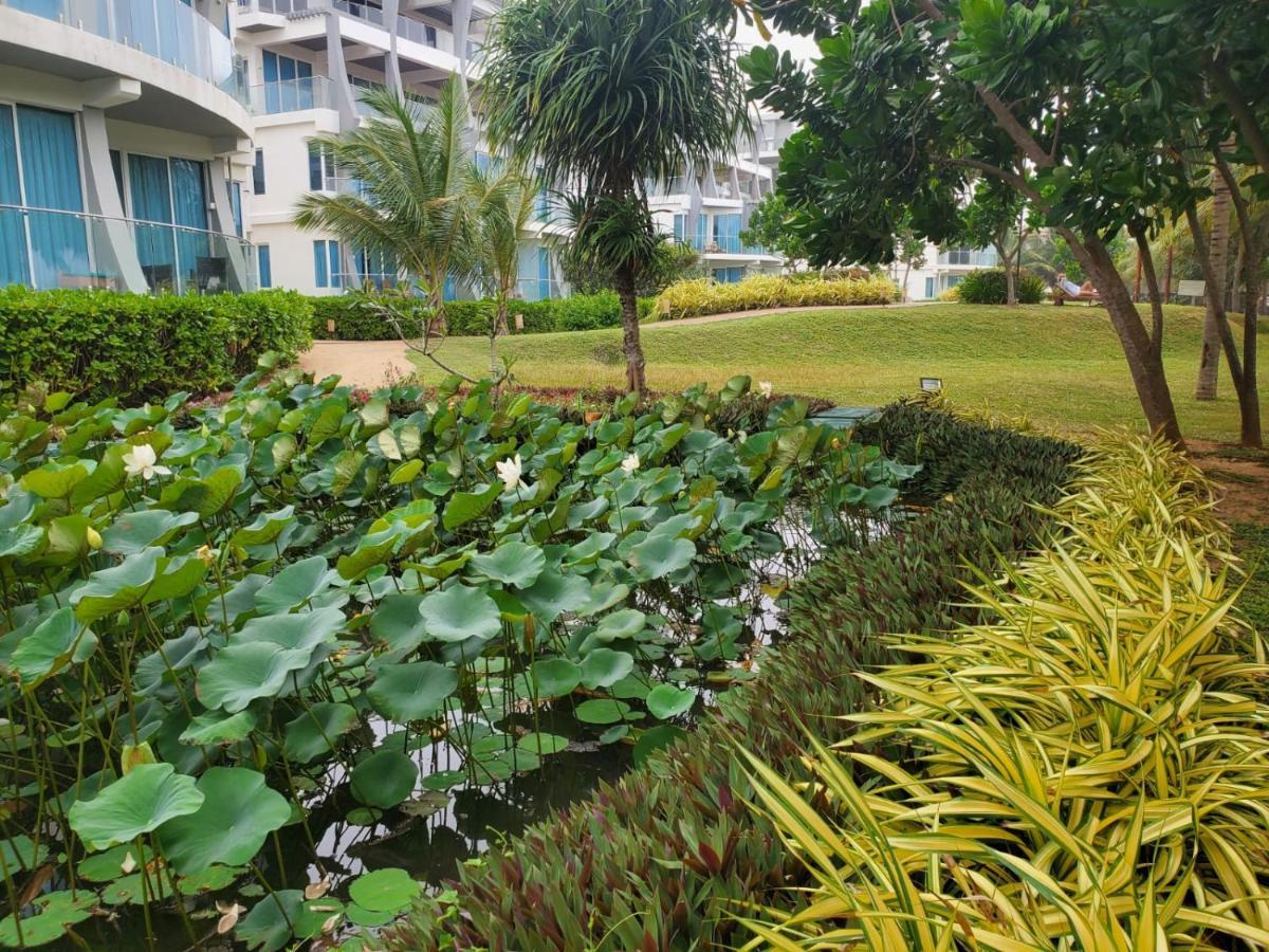 Beach Front Paradise Нилавели Экстерьер фото