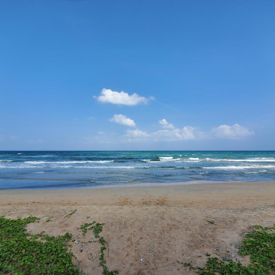 Beach Front Paradise Нилавели Экстерьер фото